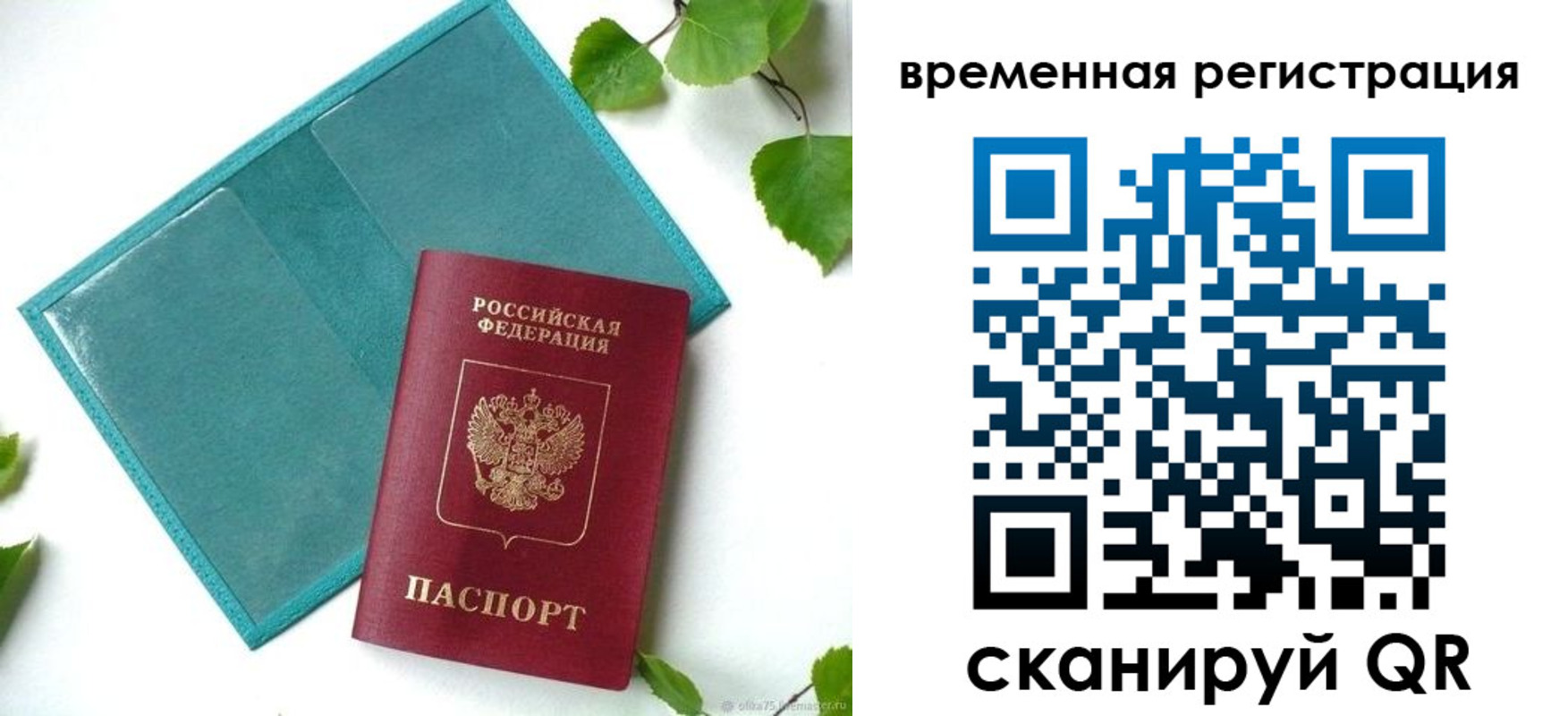 прописка иностранных граждан в Мурманской области